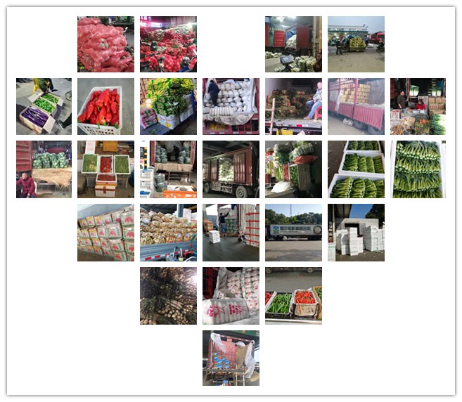 EVO厅·(中国区)视讯官网