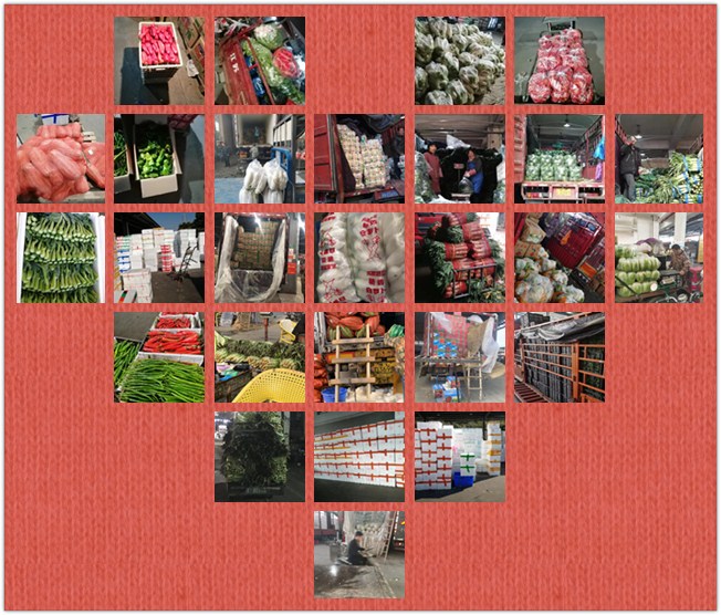 EVO厅·(中国区)视讯官网