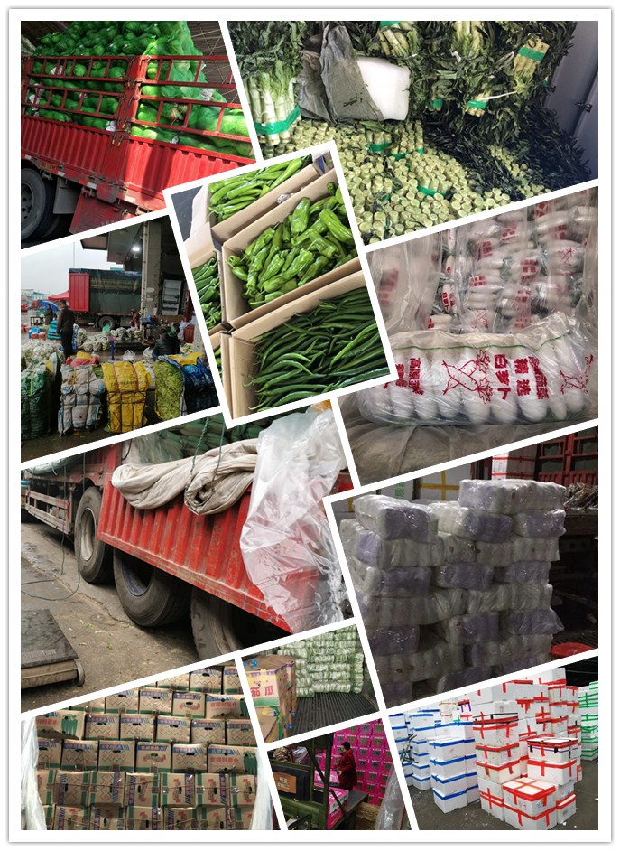 EVO厅·(中国区)视讯官网