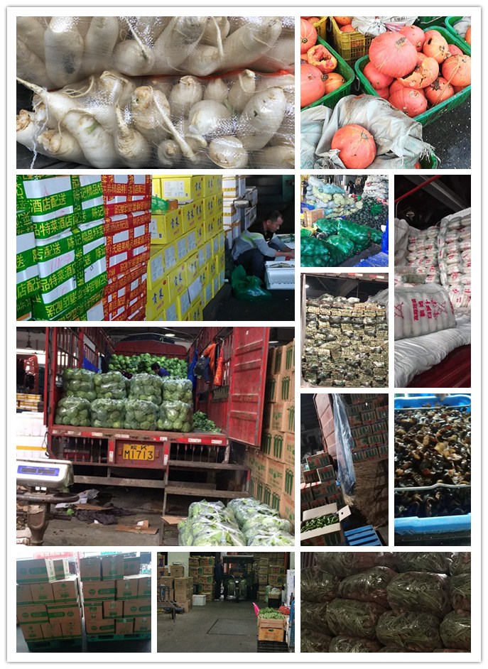 EVO厅·(中国区)视讯官网