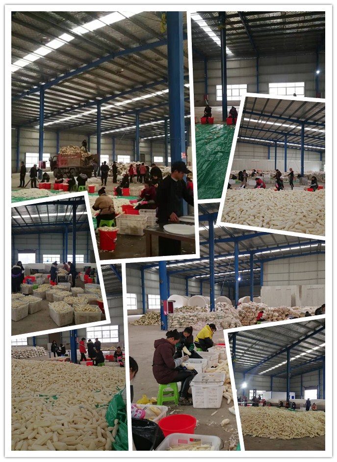 EVO厅·(中国区)视讯官网