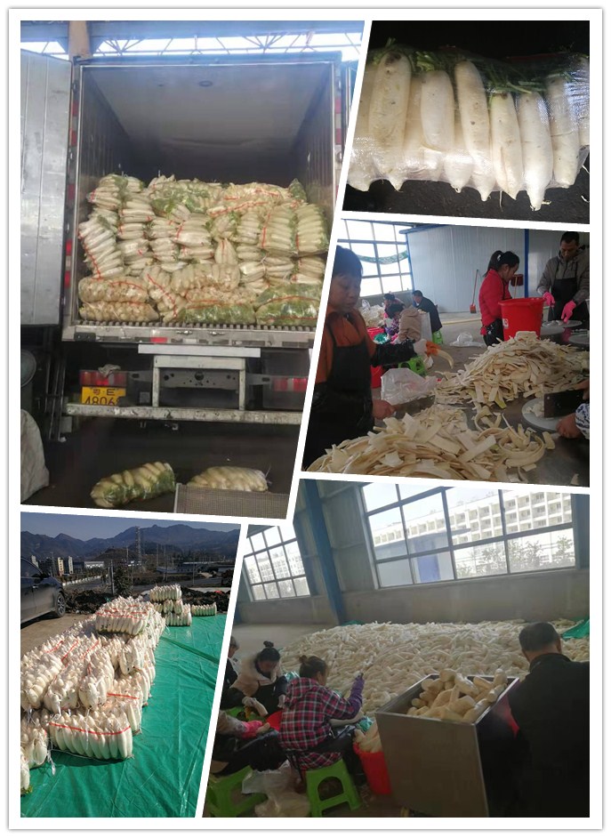 EVO厅·(中国区)视讯官网