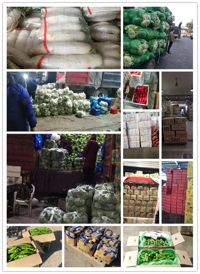 EVO厅·(中国区)视讯官网