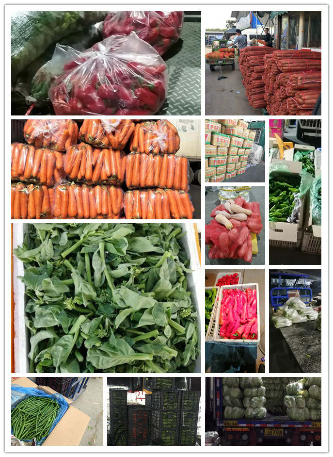 EVO厅·(中国区)视讯官网