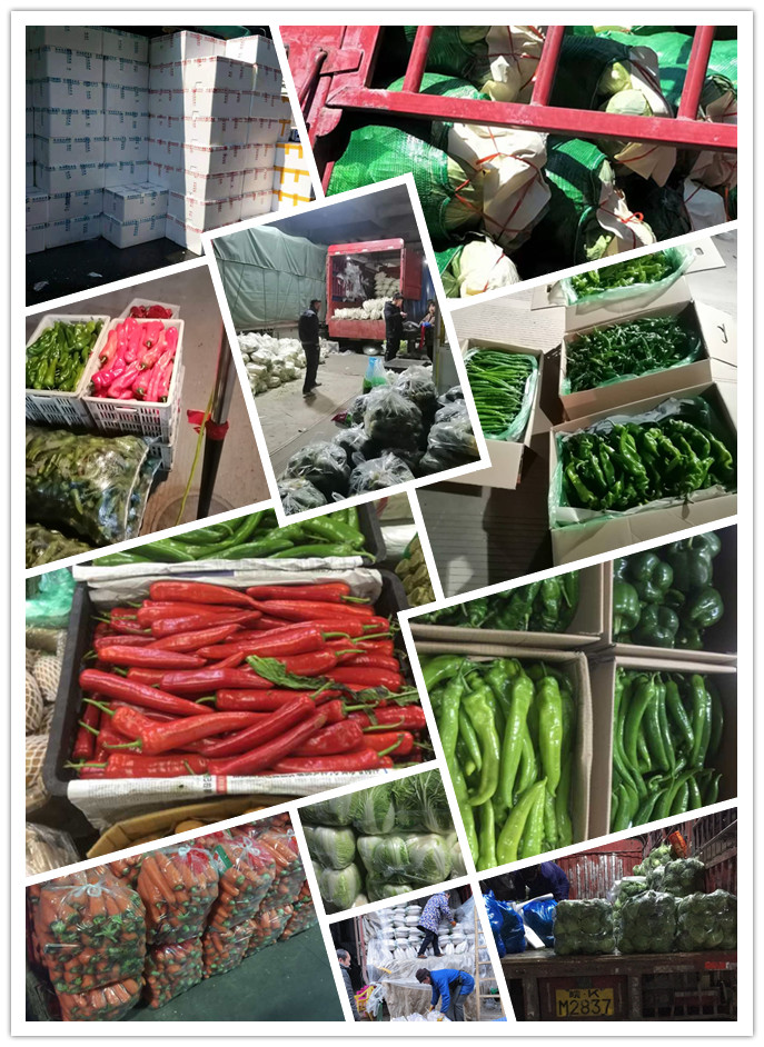 EVO厅·(中国区)视讯官网