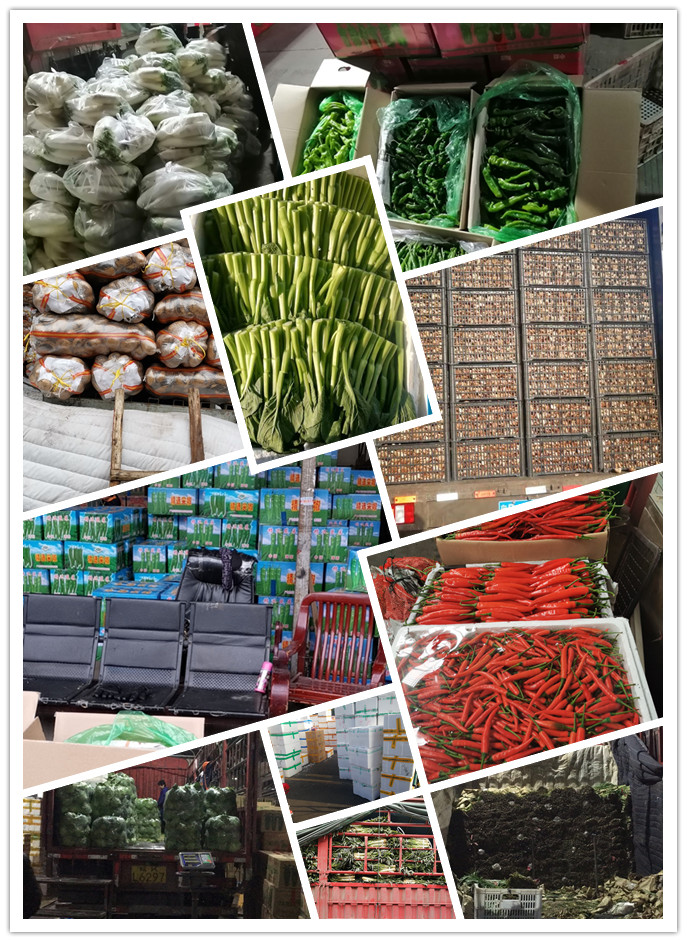 EVO厅·(中国区)视讯官网