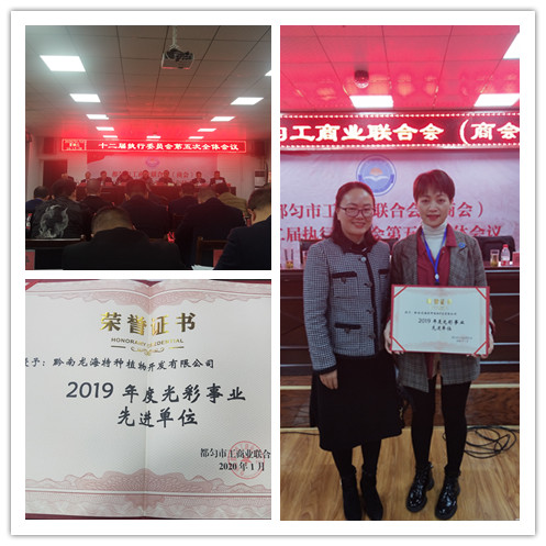 EVO厅·(中国区)视讯官网