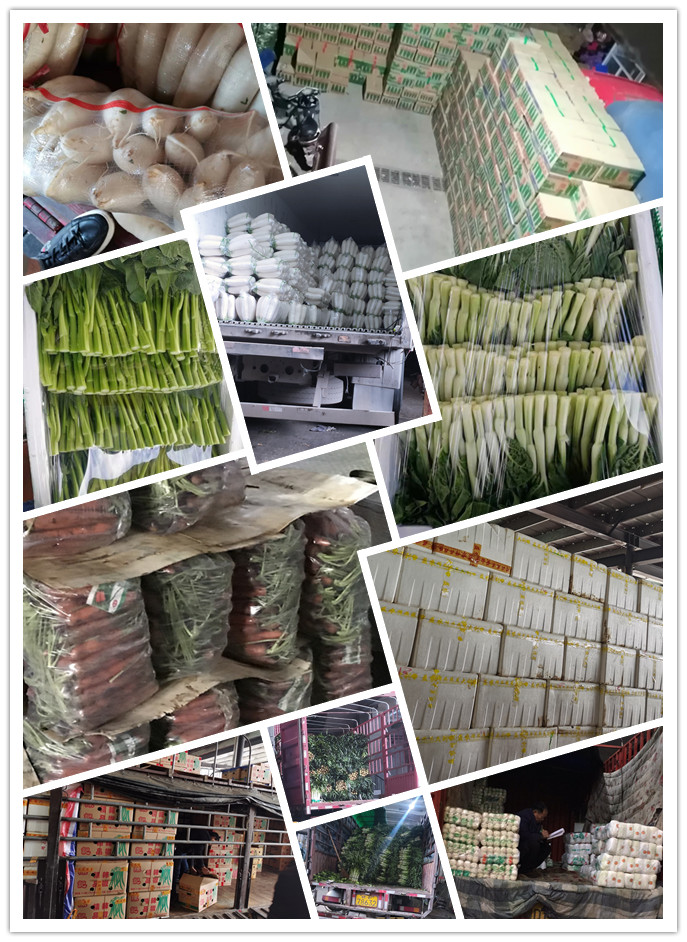 EVO厅·(中国区)视讯官网