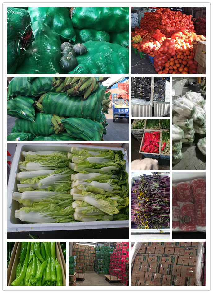 EVO厅·(中国区)视讯官网