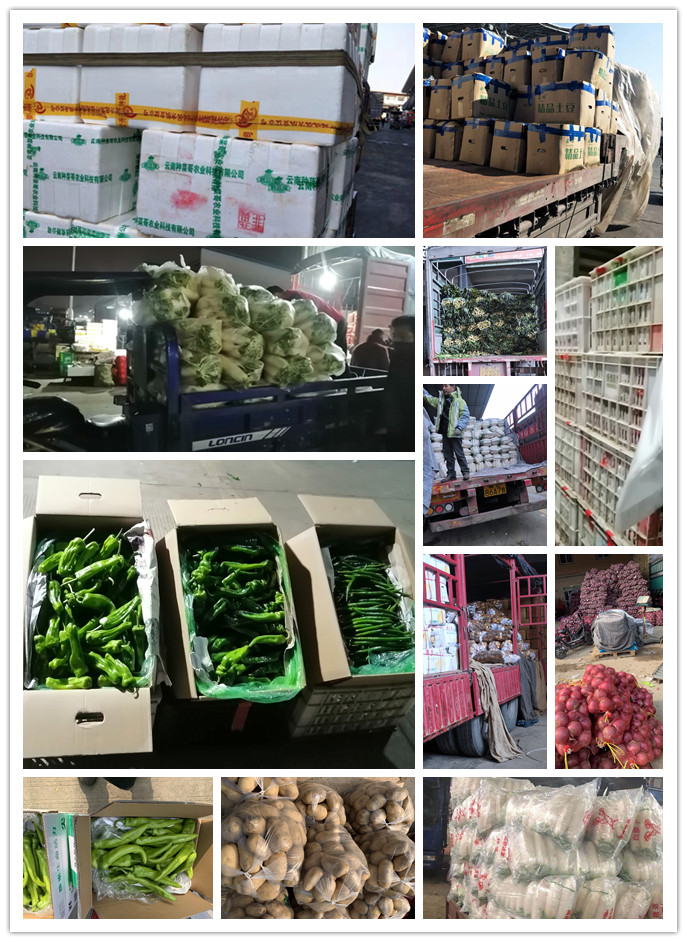 EVO厅·(中国区)视讯官网