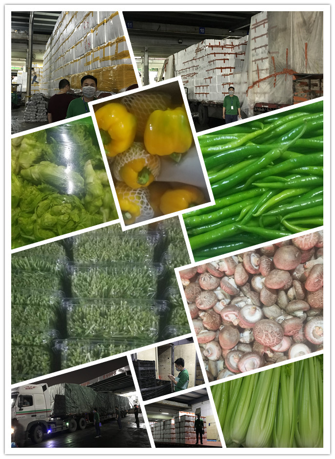 EVO厅·(中国区)视讯官网