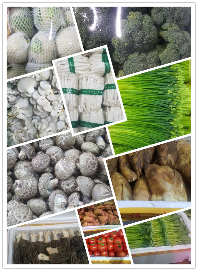 EVO厅·(中国区)视讯官网