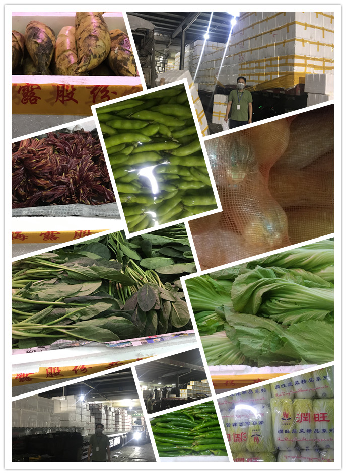 EVO厅·(中国区)视讯官网