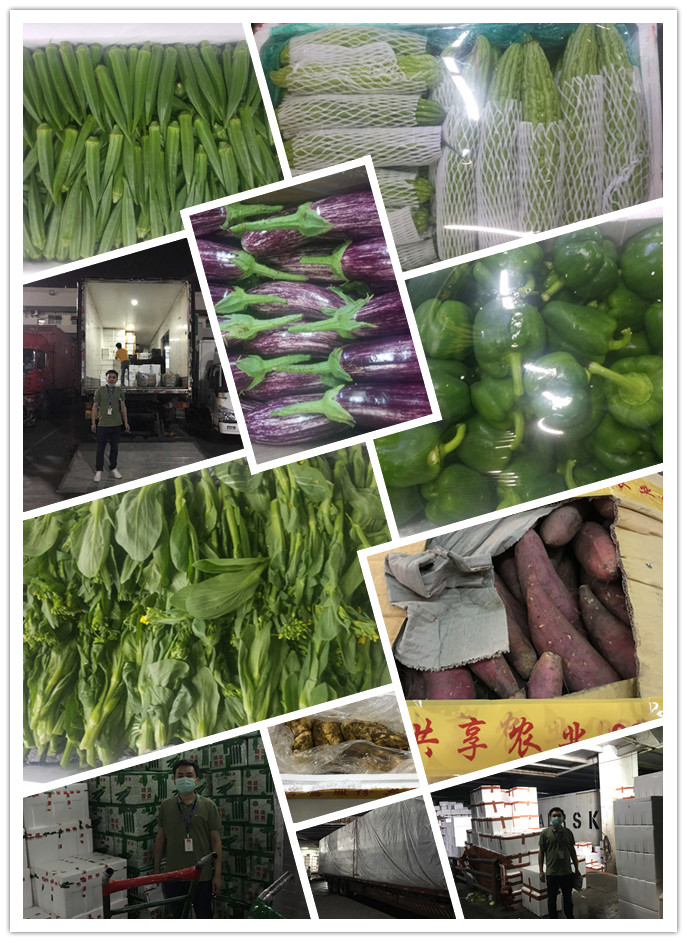 EVO厅·(中国区)视讯官网