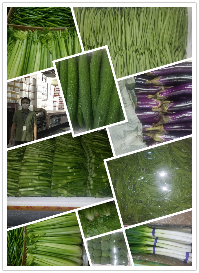 EVO厅·(中国区)视讯官网