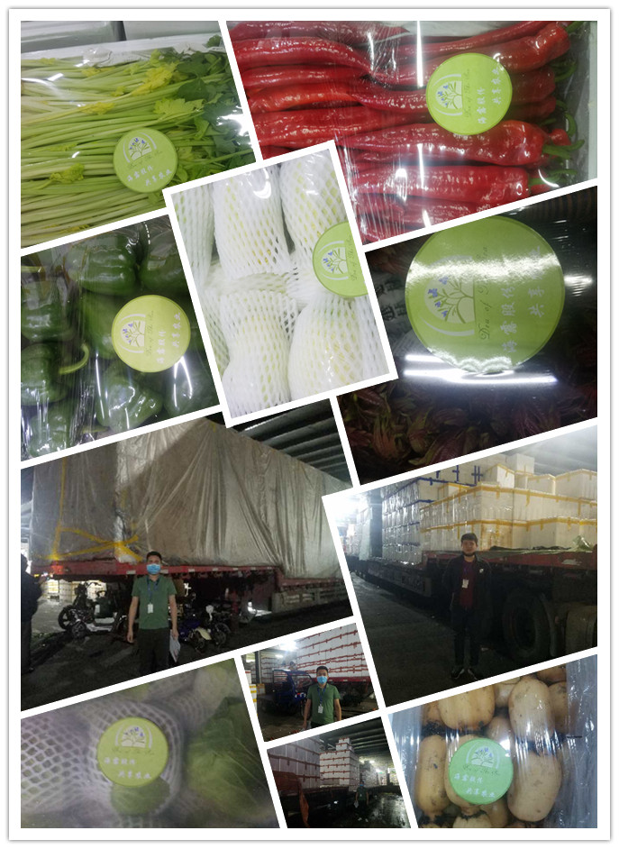 EVO厅·(中国区)视讯官网