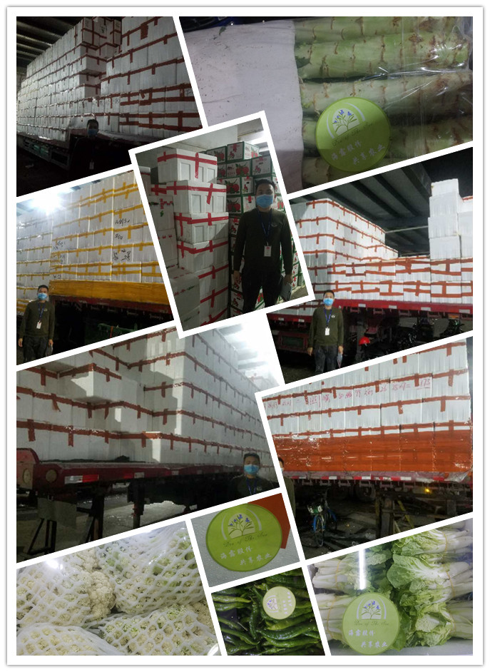 EVO厅·(中国区)视讯官网