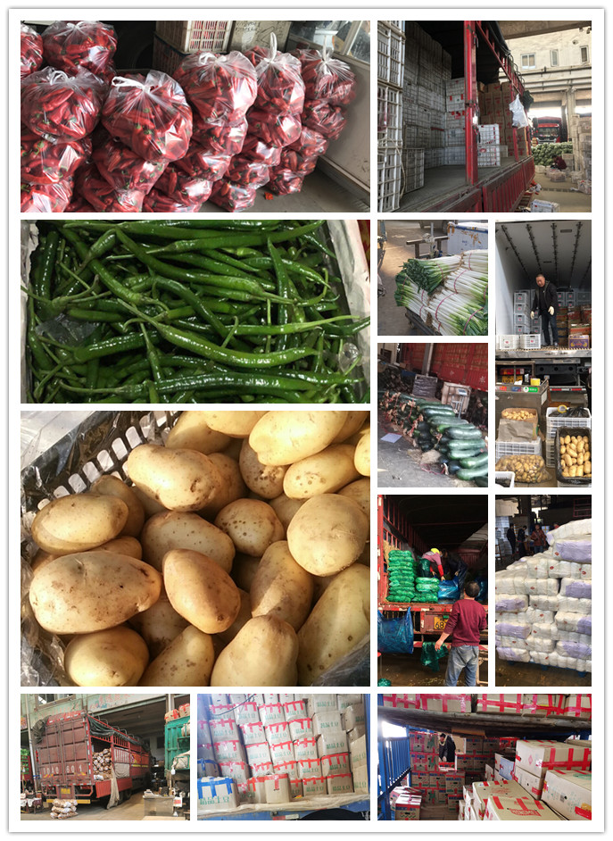 EVO厅·(中国区)视讯官网