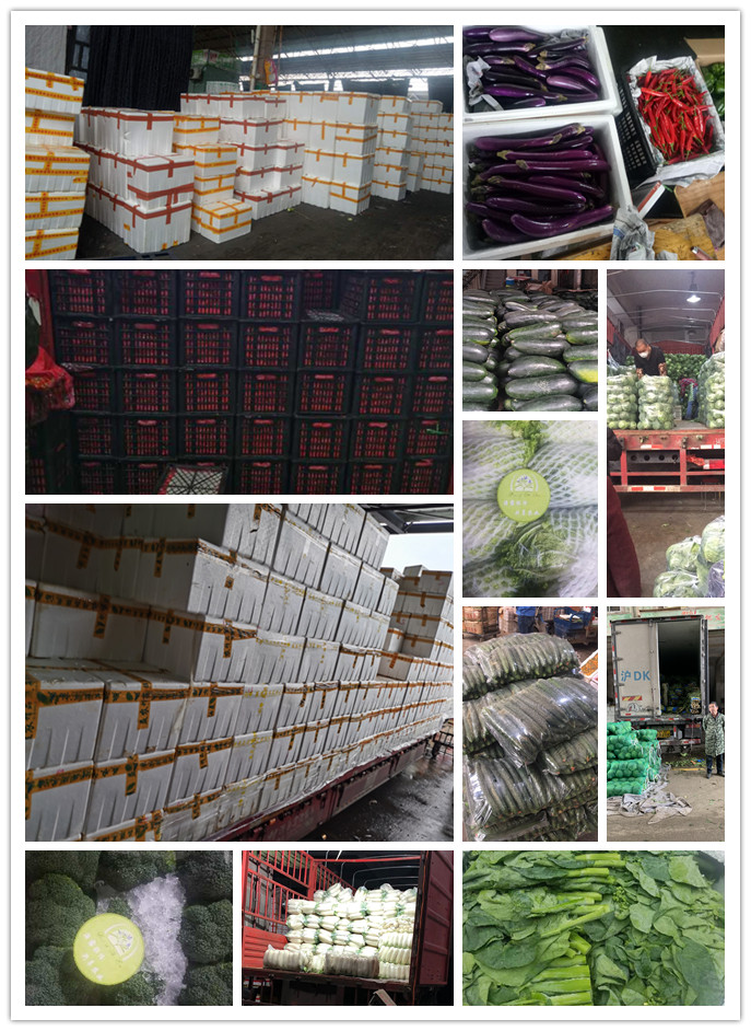 EVO厅·(中国区)视讯官网