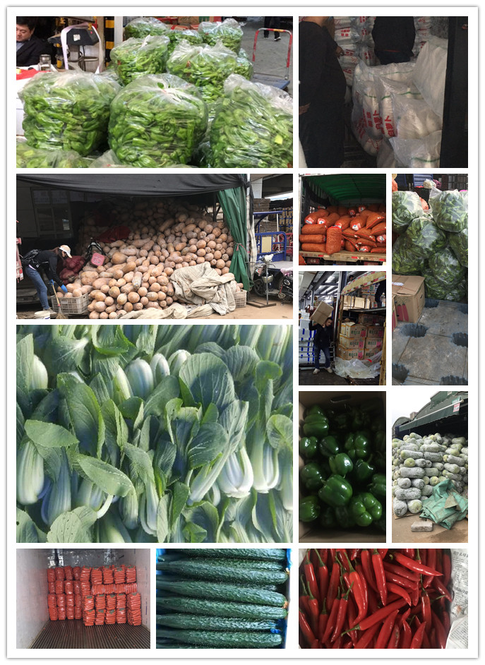 EVO厅·(中国区)视讯官网