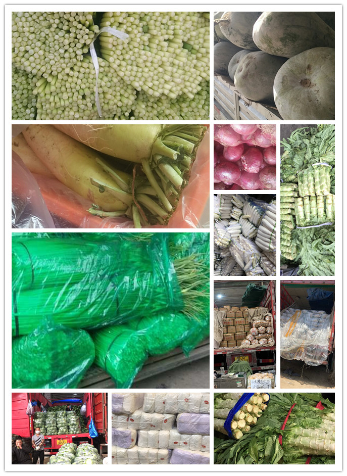 EVO厅·(中国区)视讯官网