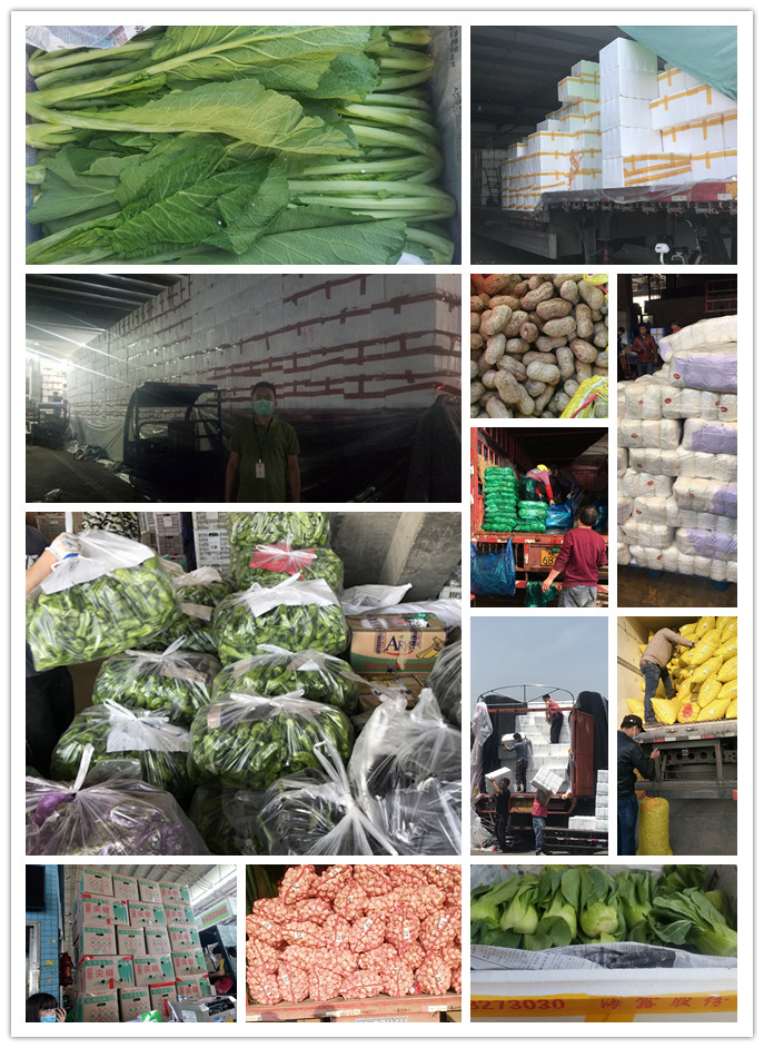 EVO厅·(中国区)视讯官网