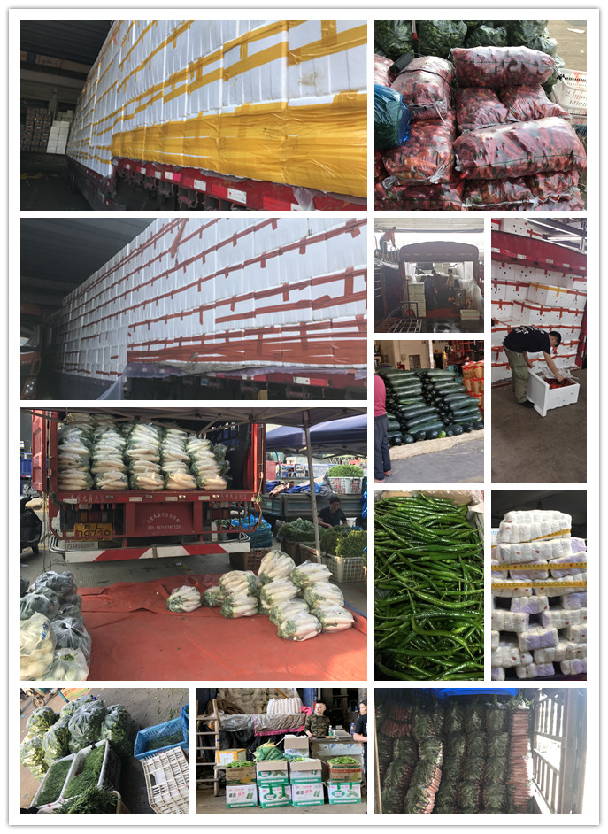 EVO厅·(中国区)视讯官网