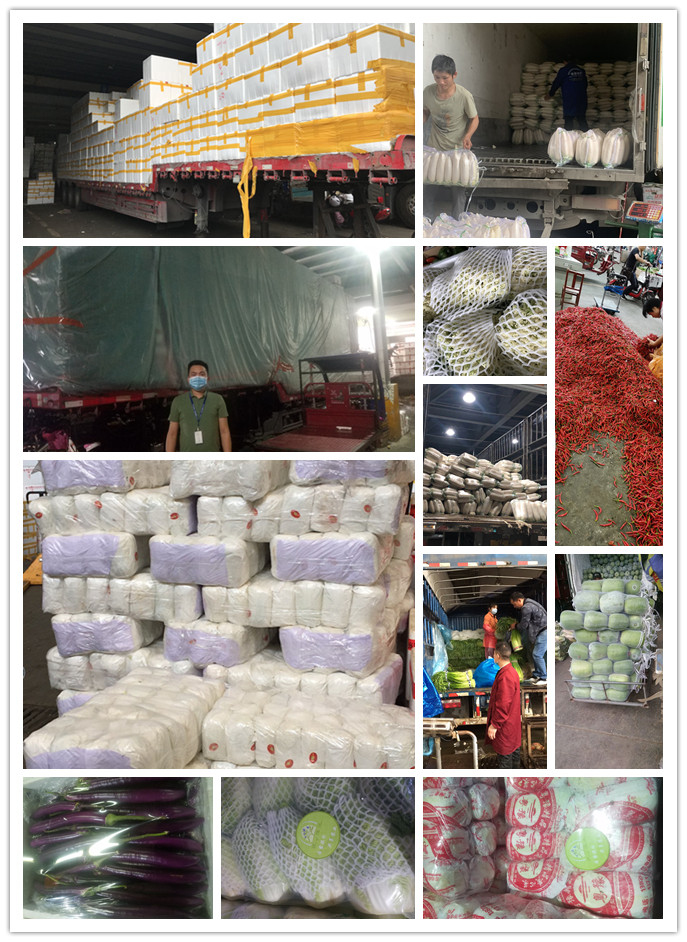 EVO厅·(中国区)视讯官网