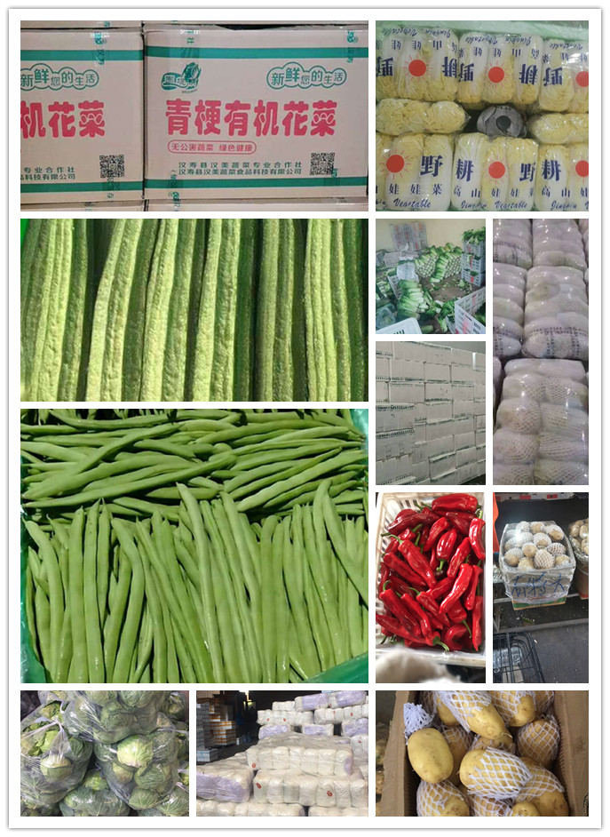 EVO厅·(中国区)视讯官网