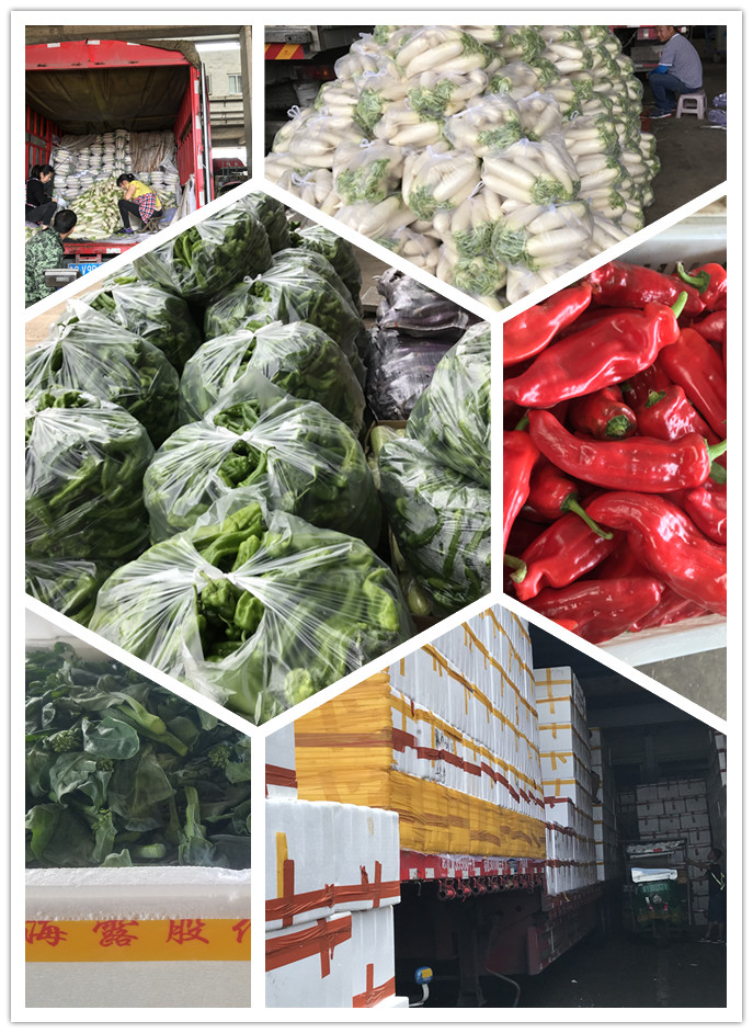 EVO厅·(中国区)视讯官网