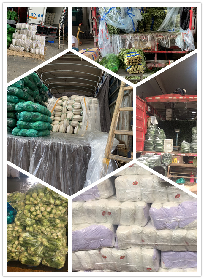 EVO厅·(中国区)视讯官网