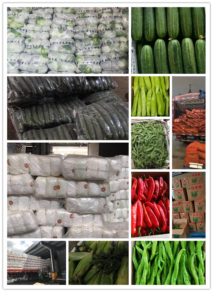 EVO厅·(中国区)视讯官网