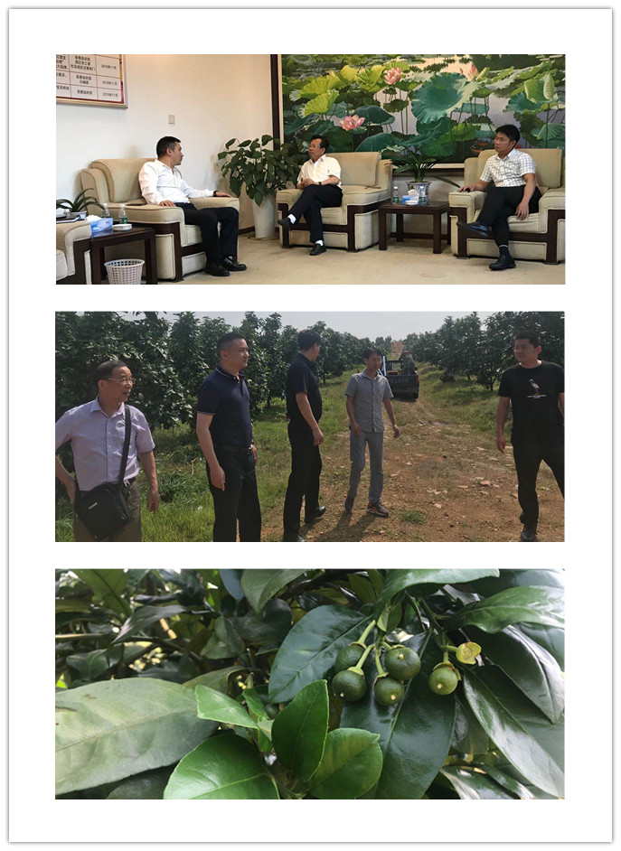 EVO厅·(中国区)视讯官网