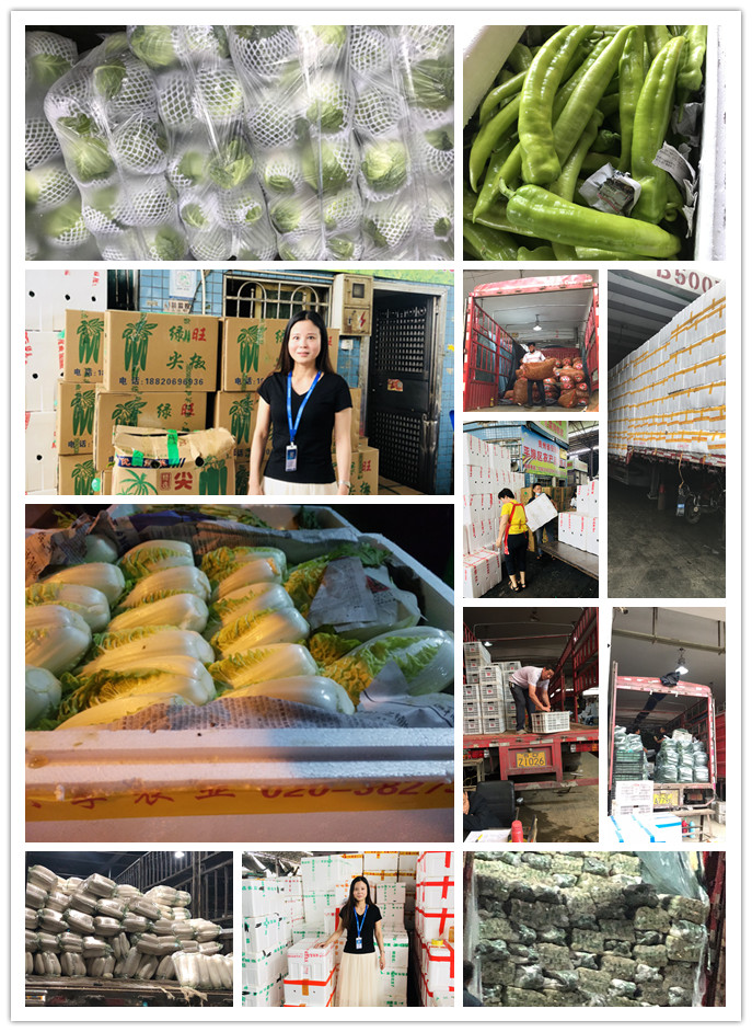 EVO厅·(中国区)视讯官网