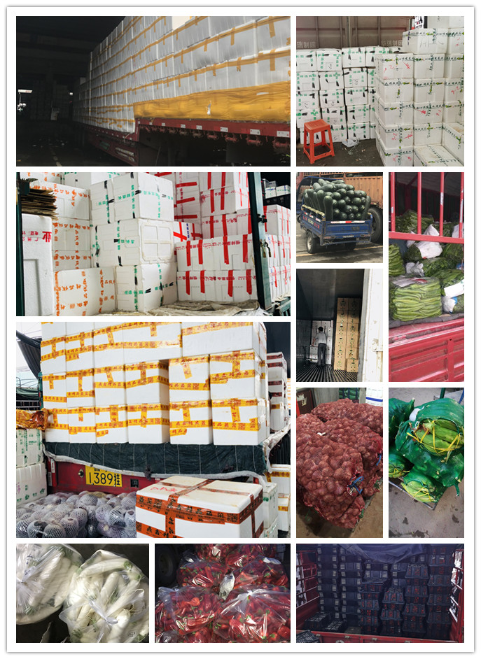 EVO厅·(中国区)视讯官网