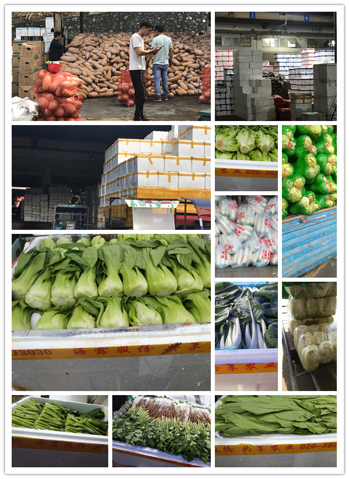 EVO厅·(中国区)视讯官网