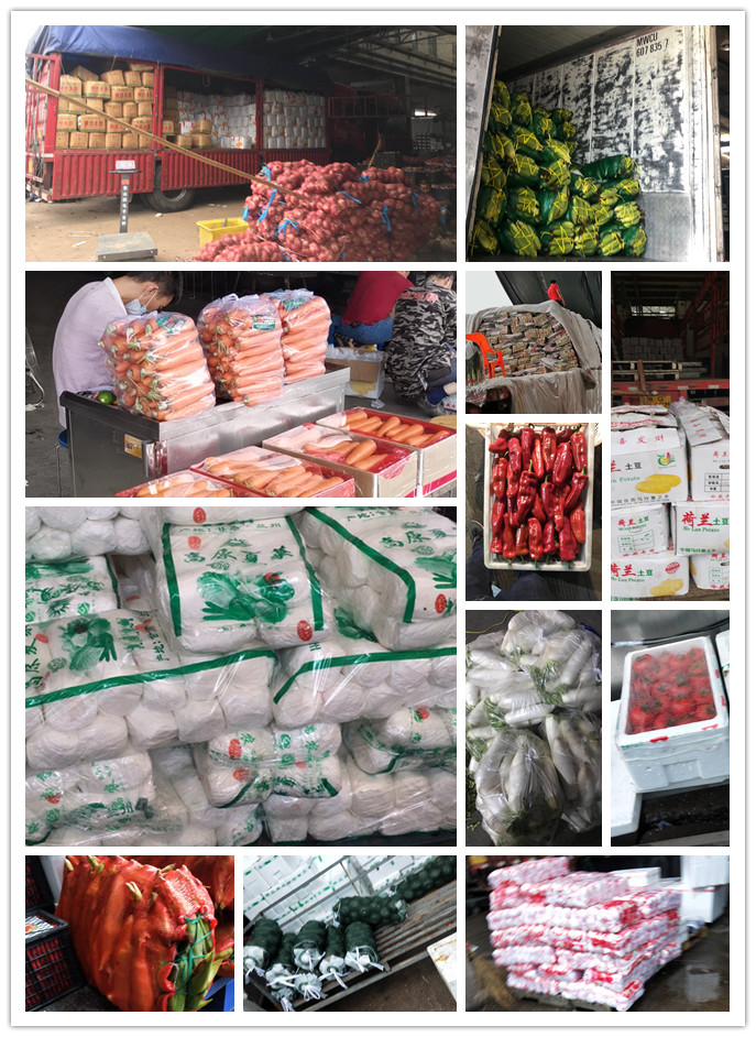 EVO厅·(中国区)视讯官网