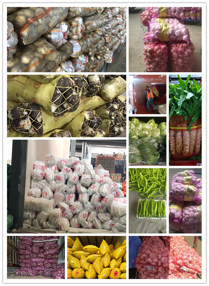 EVO厅·(中国区)视讯官网