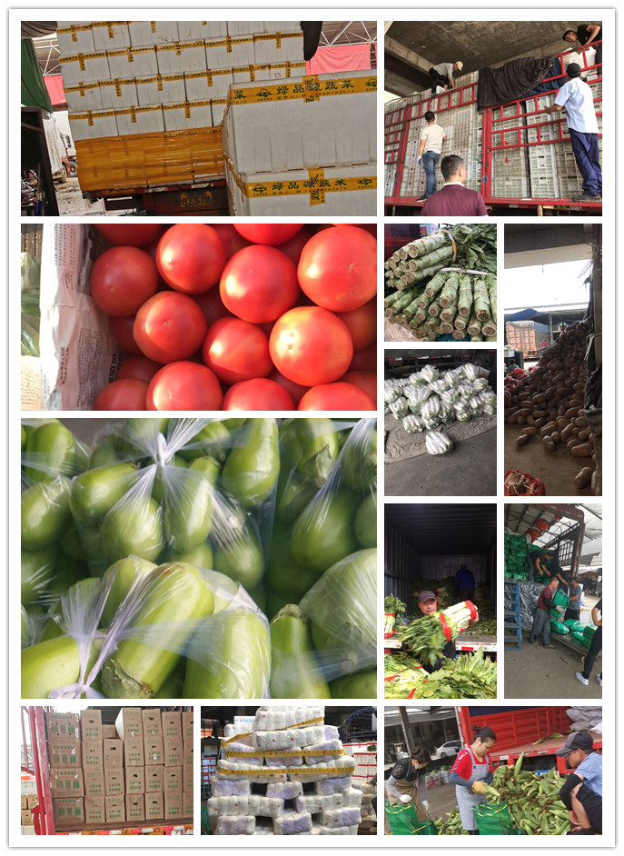 EVO厅·(中国区)视讯官网