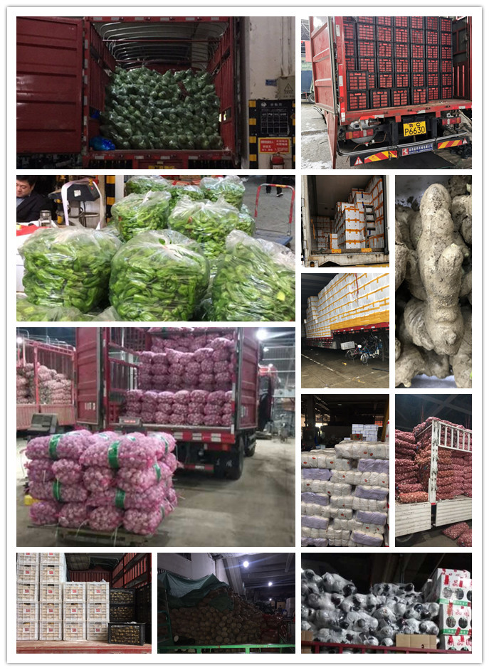 EVO厅·(中国区)视讯官网