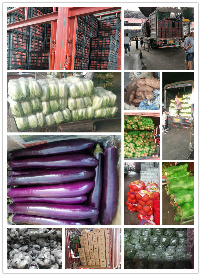 EVO厅·(中国区)视讯官网