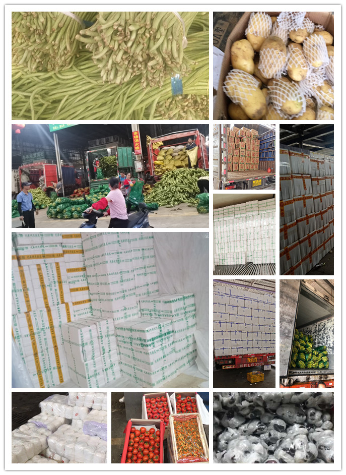 EVO厅·(中国区)视讯官网