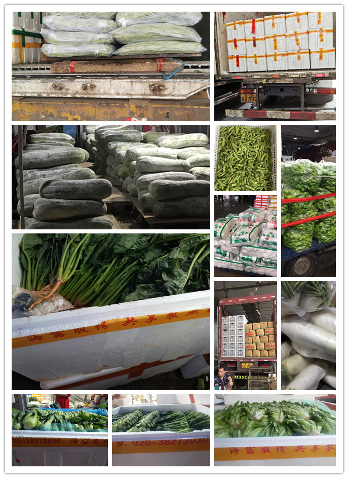 EVO厅·(中国区)视讯官网