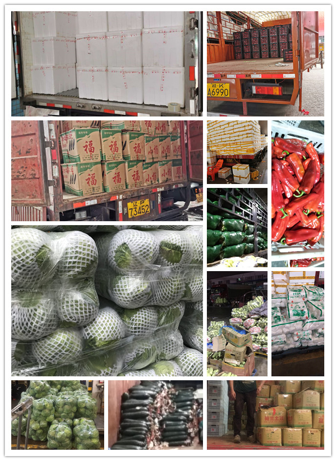 EVO厅·(中国区)视讯官网