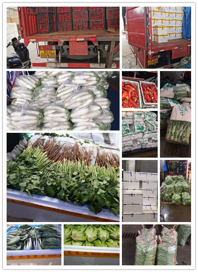 EVO厅·(中国区)视讯官网