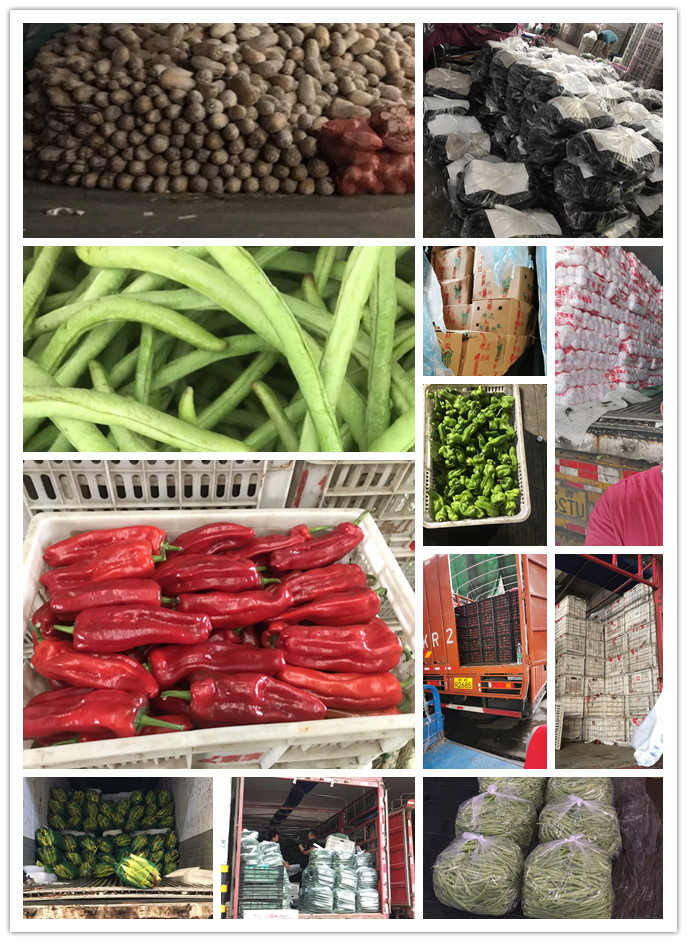 EVO厅·(中国区)视讯官网