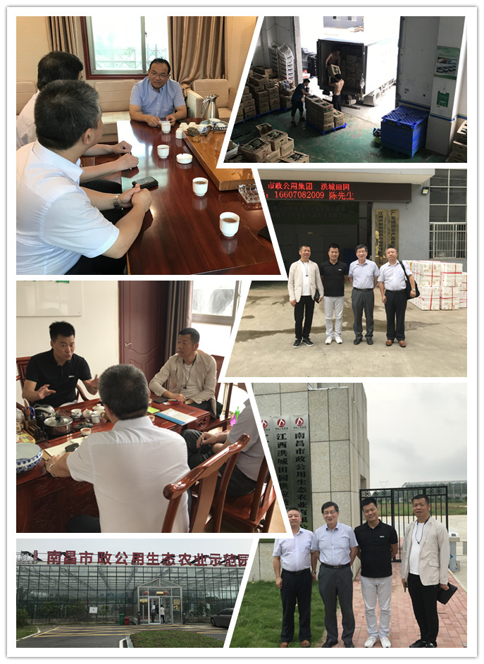 EVO厅·(中国区)视讯官网