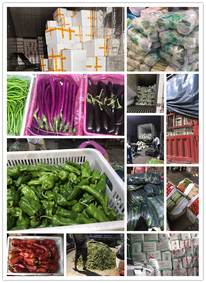 EVO厅·(中国区)视讯官网