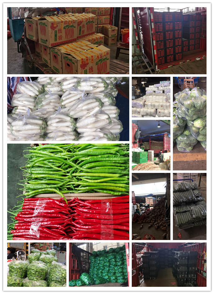 EVO厅·(中国区)视讯官网