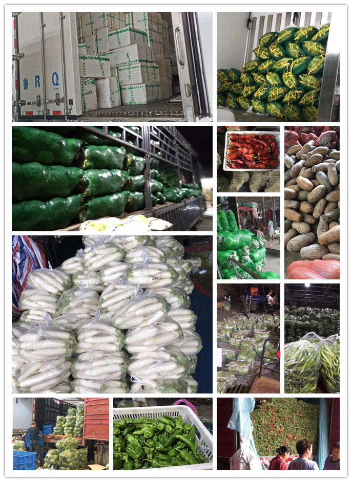 EVO厅·(中国区)视讯官网